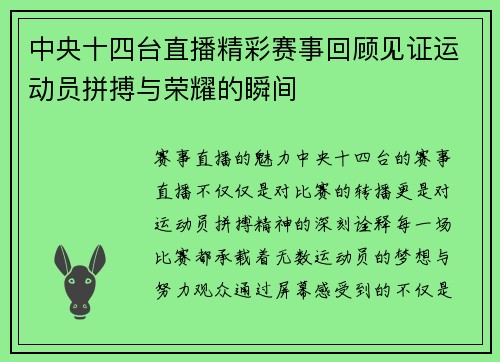中央十四台直播精彩赛事回顾见证运动员拼搏与荣耀的瞬间