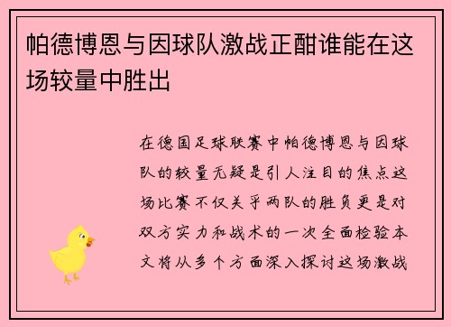 帕德博恩与因球队激战正酣谁能在这场较量中胜出